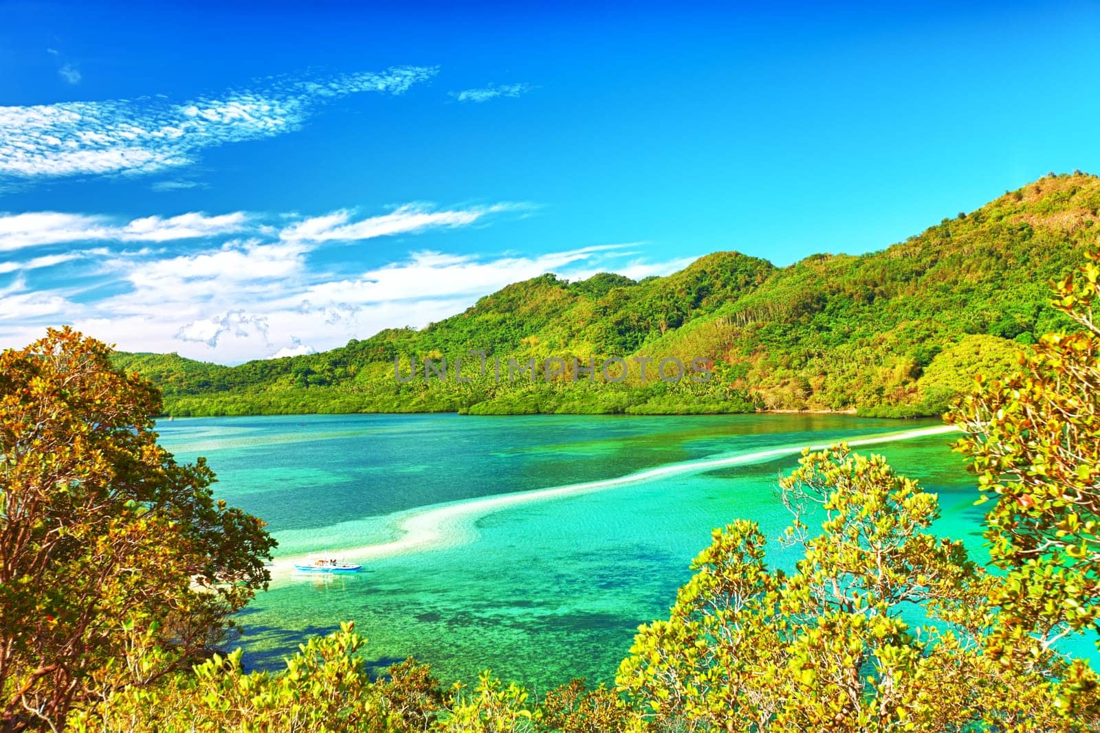 Beautiful view of a tropical island Snake. Philippines