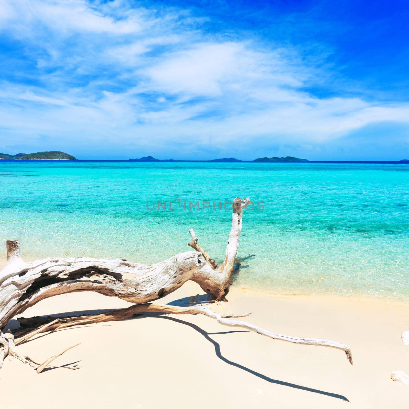 Tropical sandy beach Malcapuya at summer sunny day