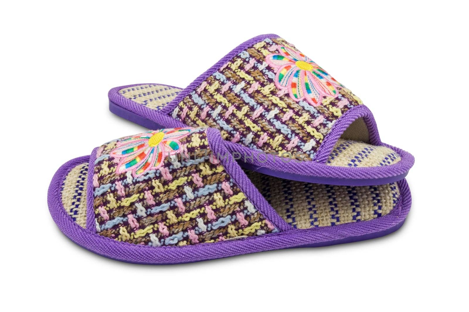 female house slippers isolated on white background