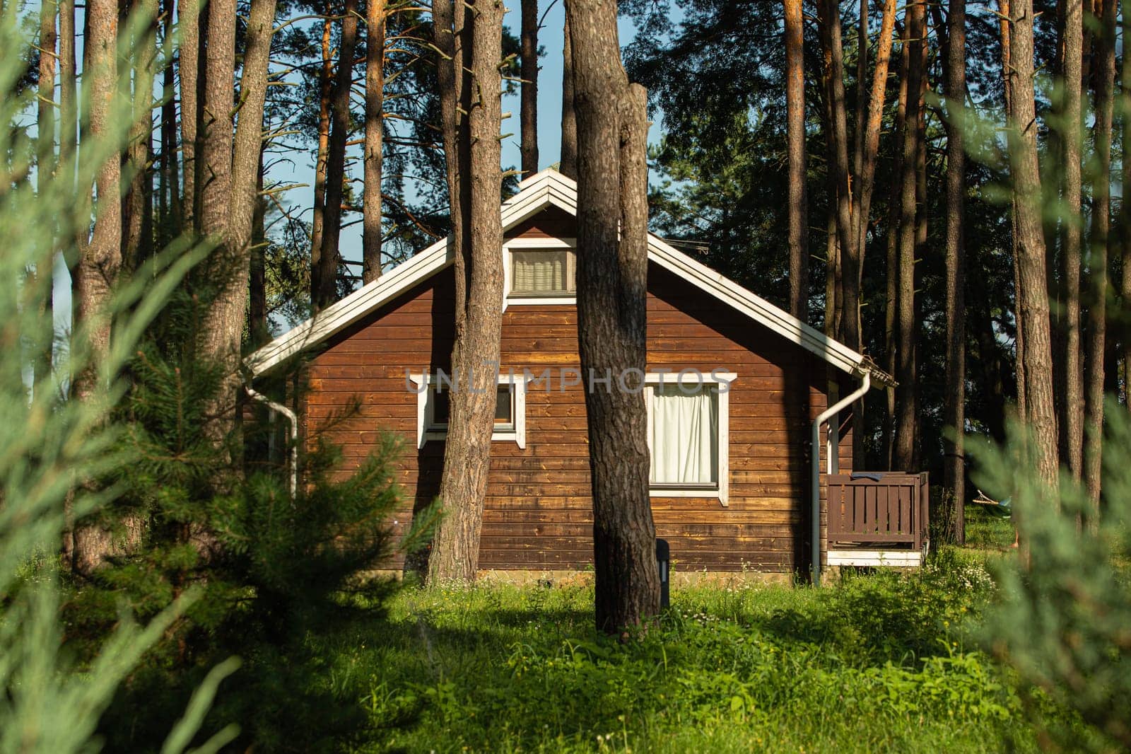 Cozy small wooden house cottage in a pines forest in summer. Rustic tranquil cabin retreat on nature rural area by its_al_dente