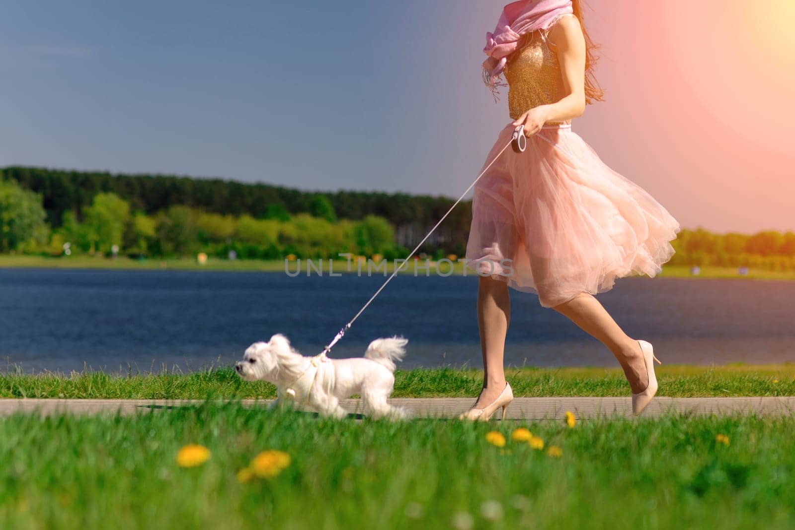 Young girl with her dog. Puppy white dog is running with it's owner. Conception about friendship, animal and freedom.