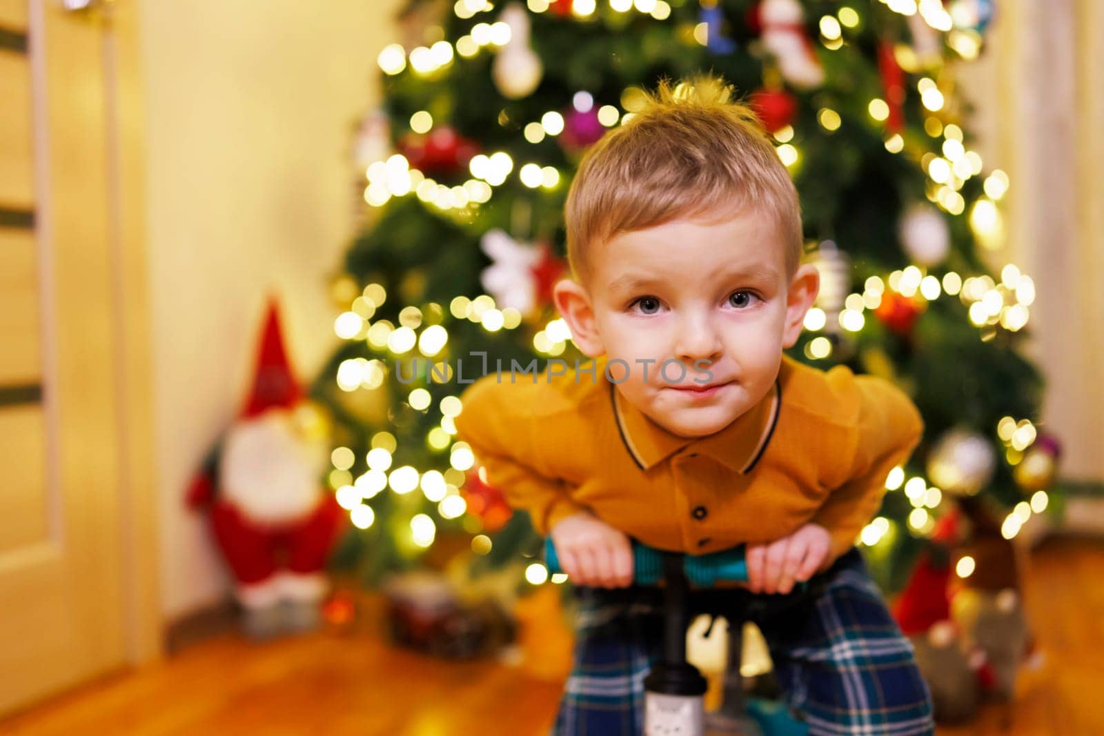 Happy little child boy sitting on push bicycle on a Christmas tree background by andreyz