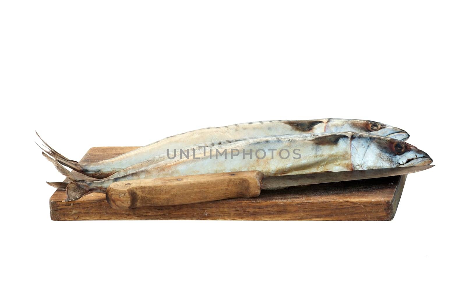 Detail of the fresh mackerels in the cutting board