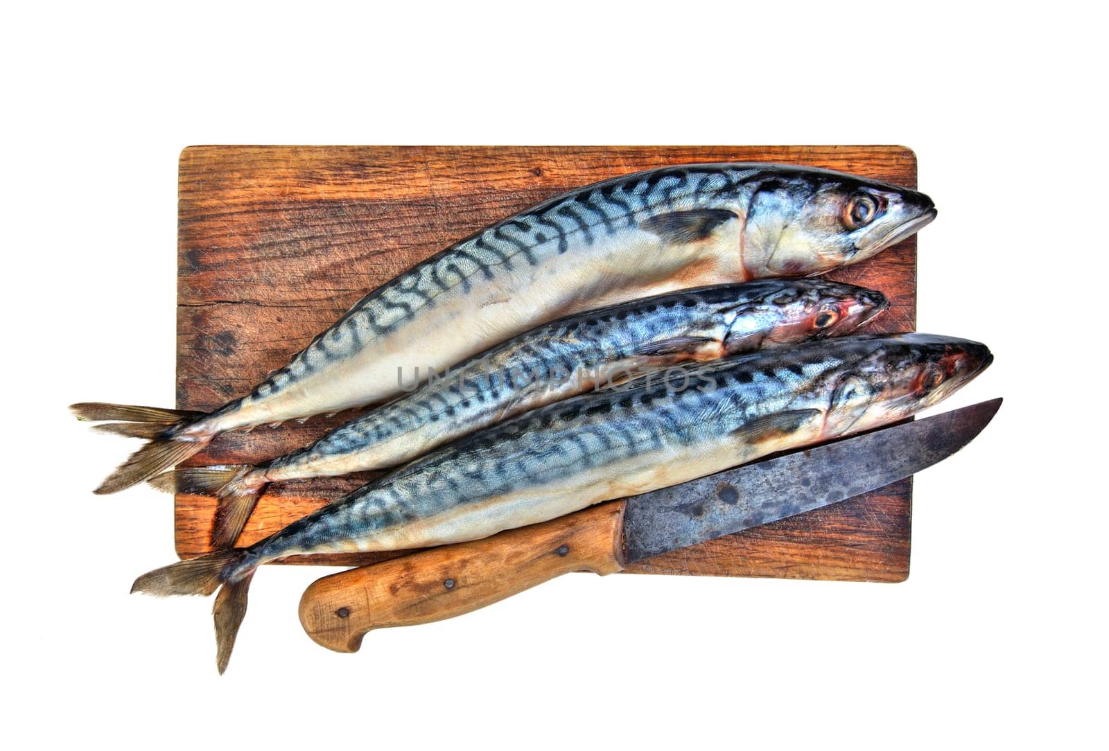 Detail of the fresh mackerels in the cutting board