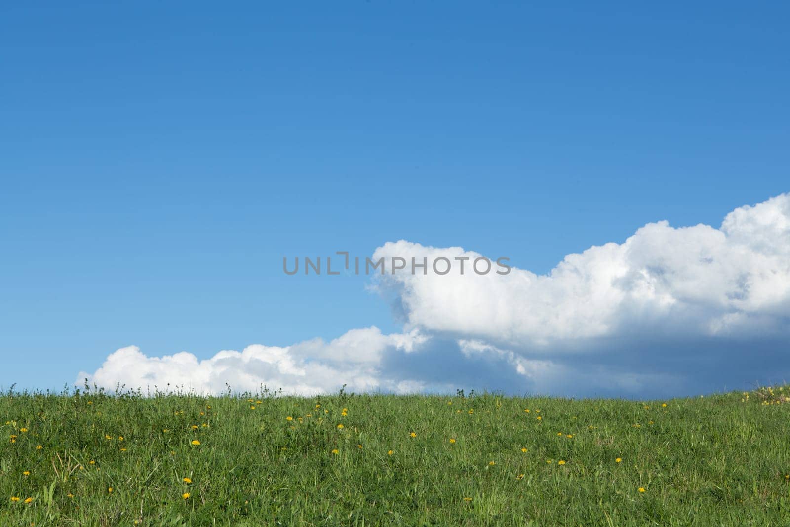 Meadow with cumulus clouds,nature with colour contrast also suitable as a background