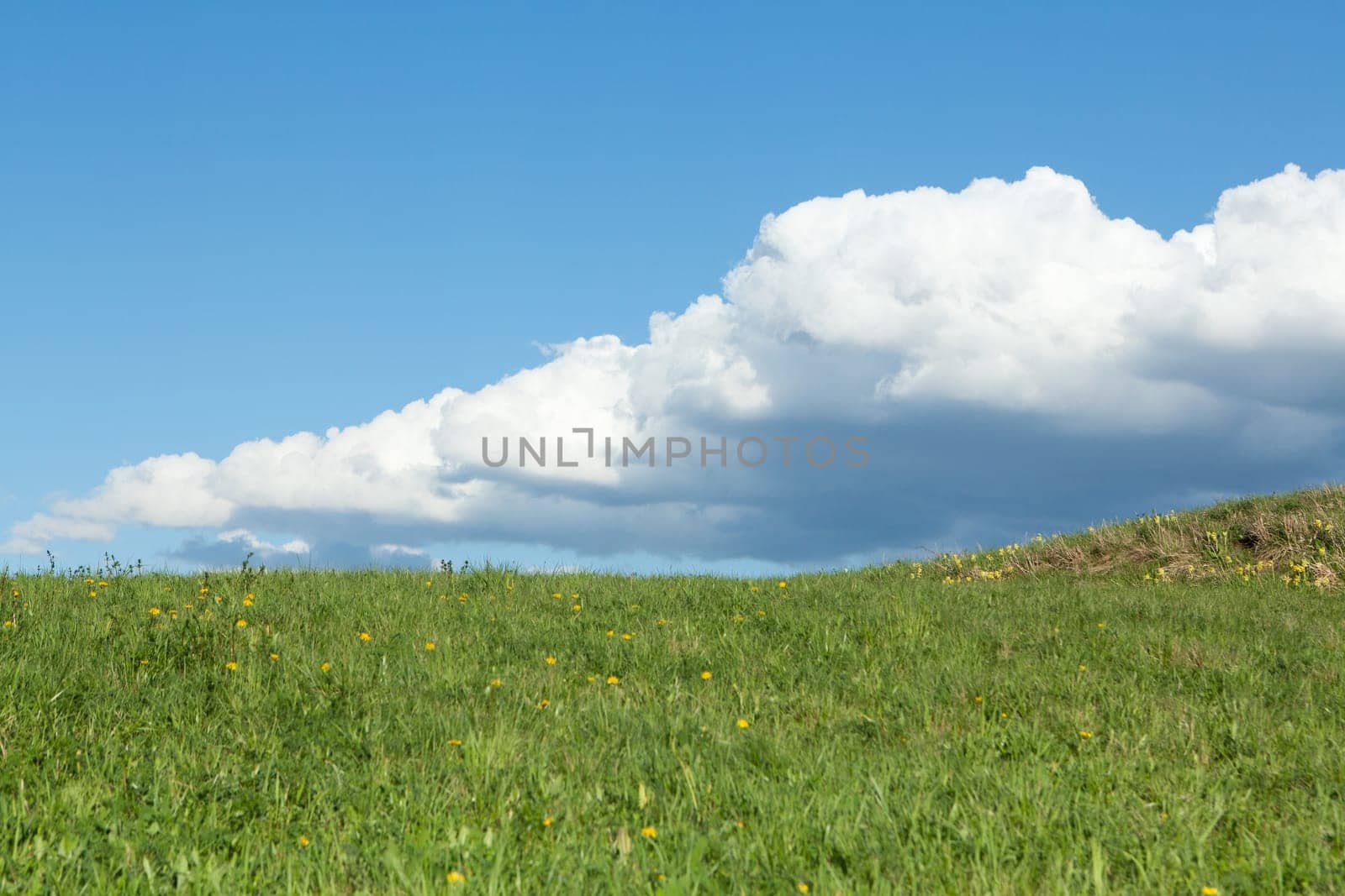 Meadow with cumulus clouds,nature with colour contrast also suitable as a background
