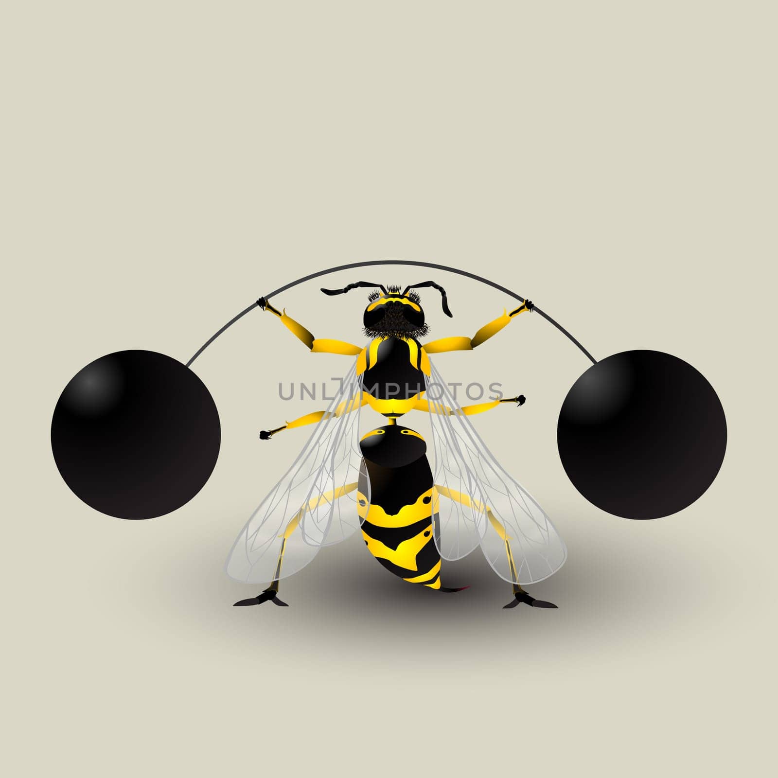 Loosing weight. Conceptual graphic with a german wasp lifting weights. Image contains transparency effect.