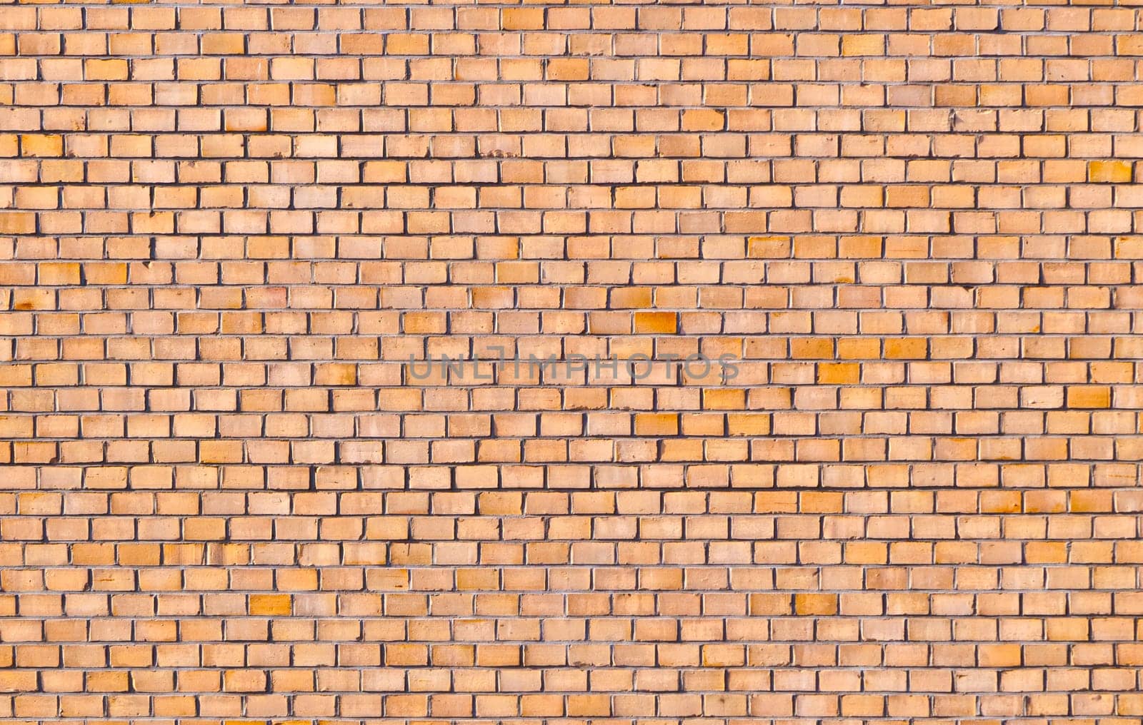 brick wall of an old house
