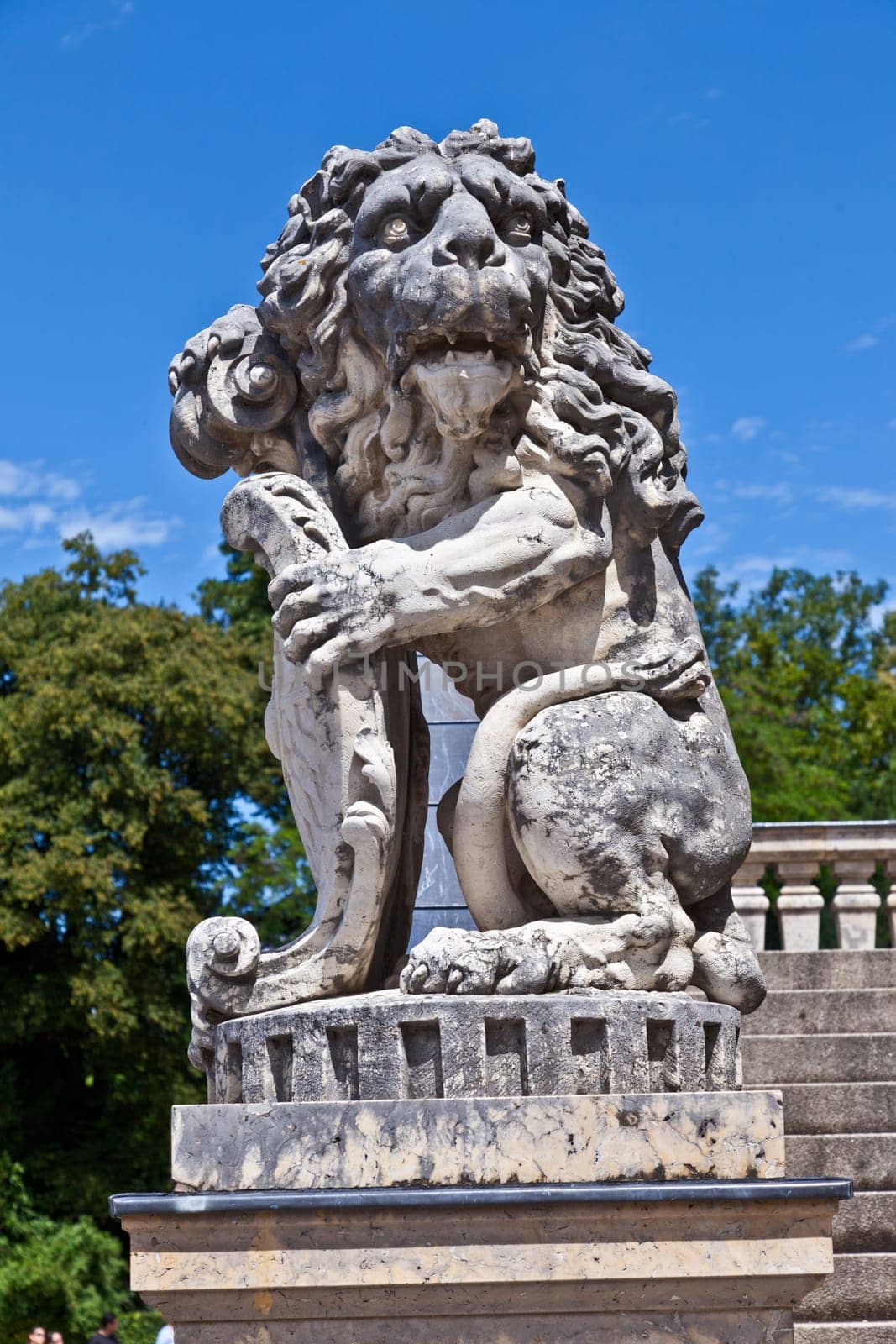 lion in park of nymphenburg castle, munich