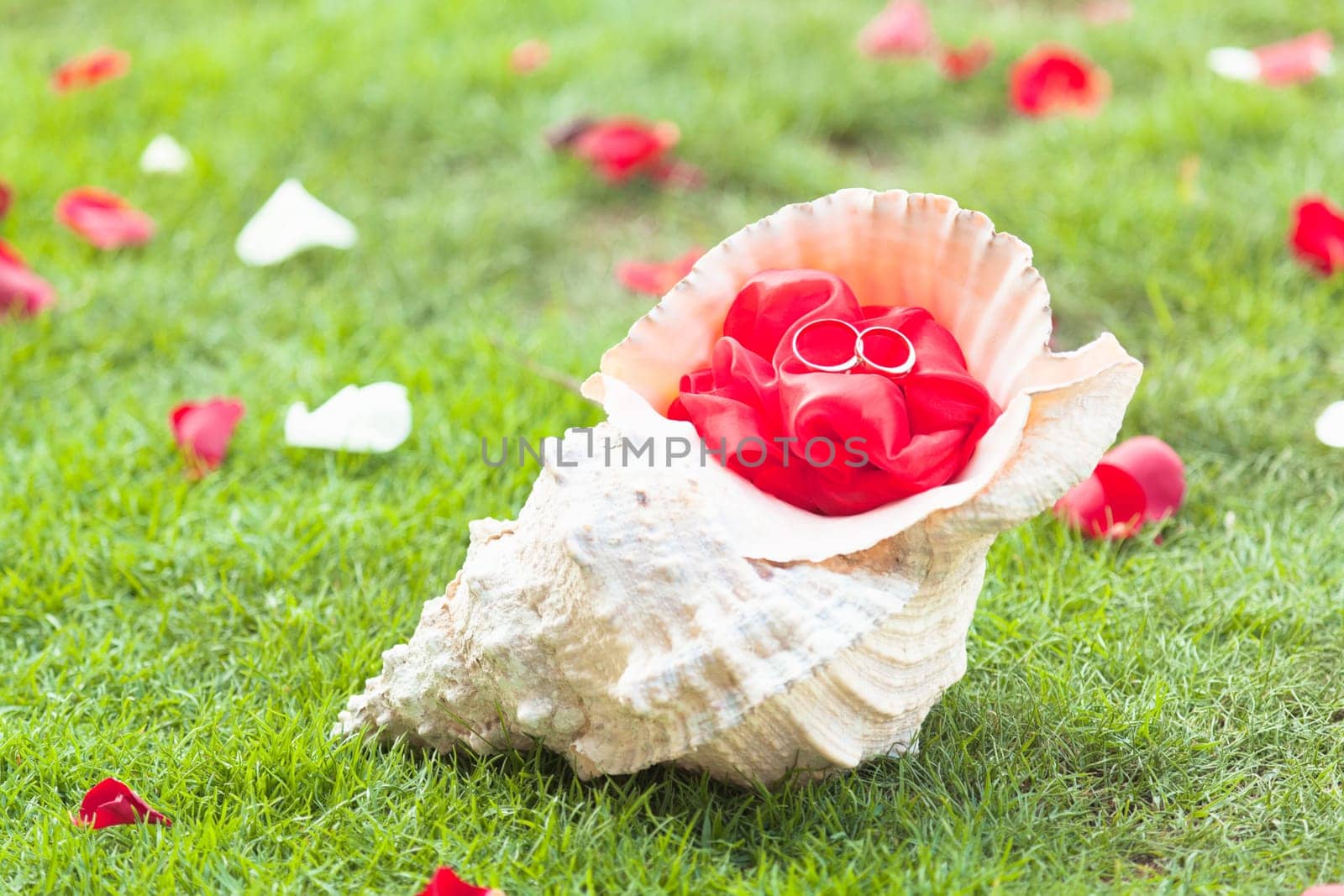 Two wedding rings inside of the seashell