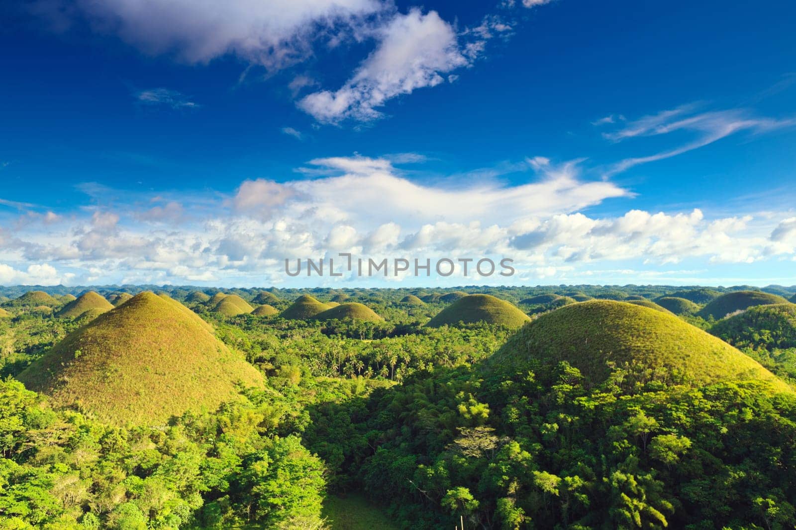 View of The Chocolate Hills. Bohol, Philippines