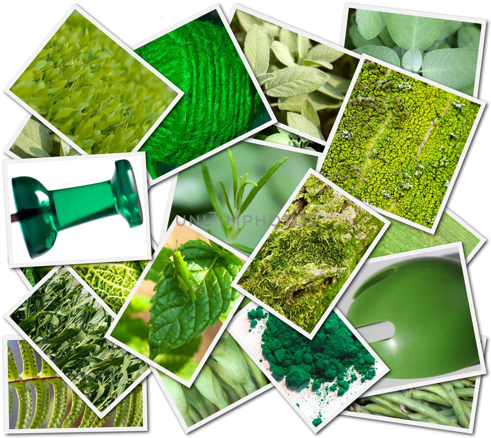 Photo&#039 s collage with green object
