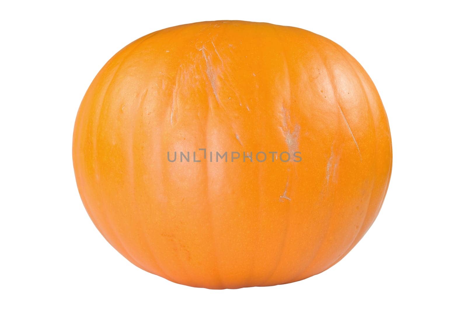 big orange pumpkin isolated on white background