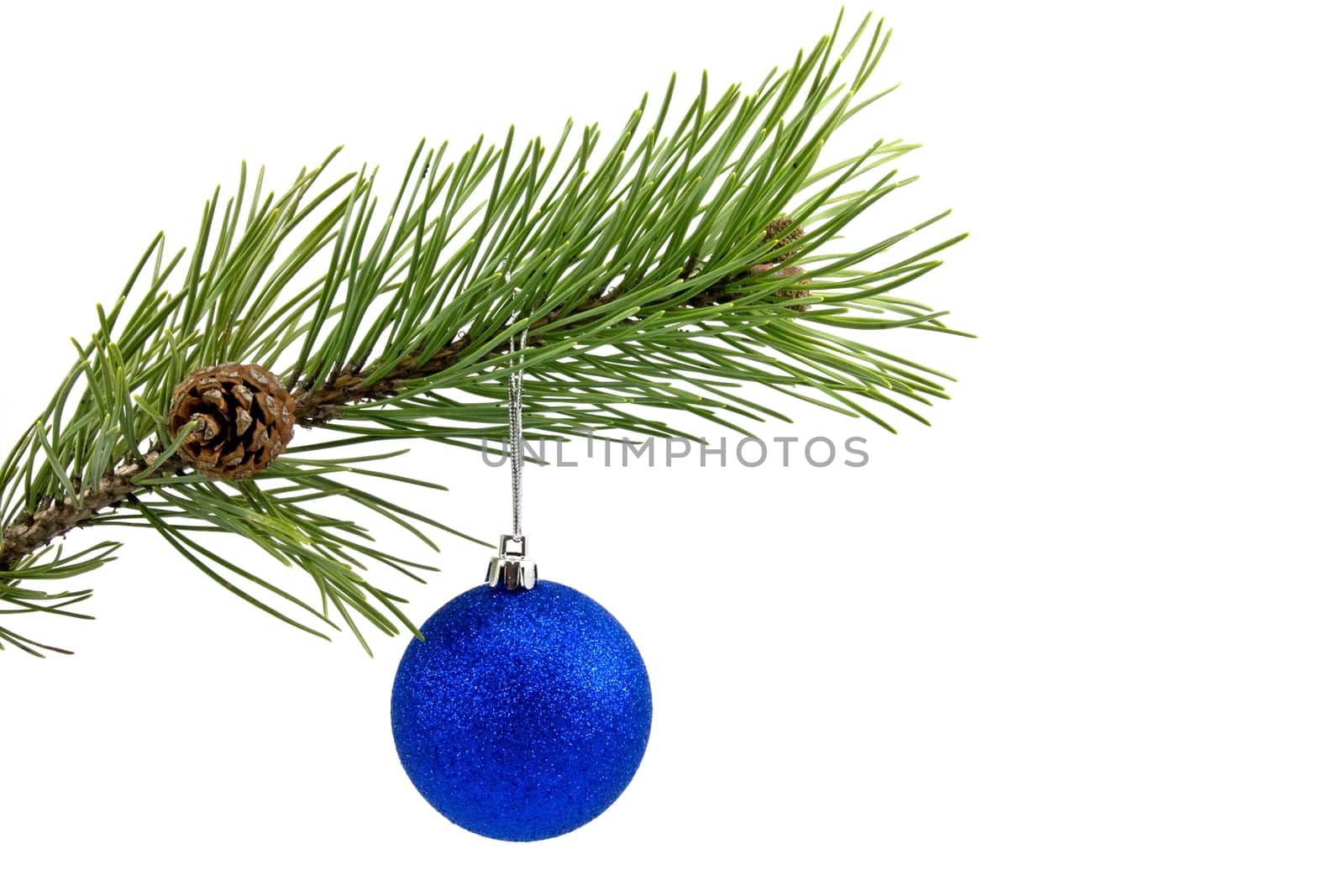 green branch with blue bauble. Isolated on white