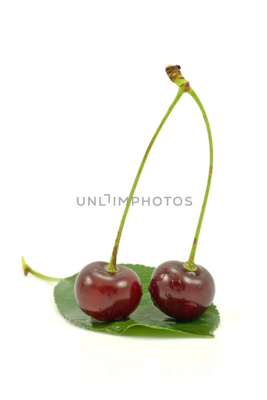 dark red cherries on a green leaf