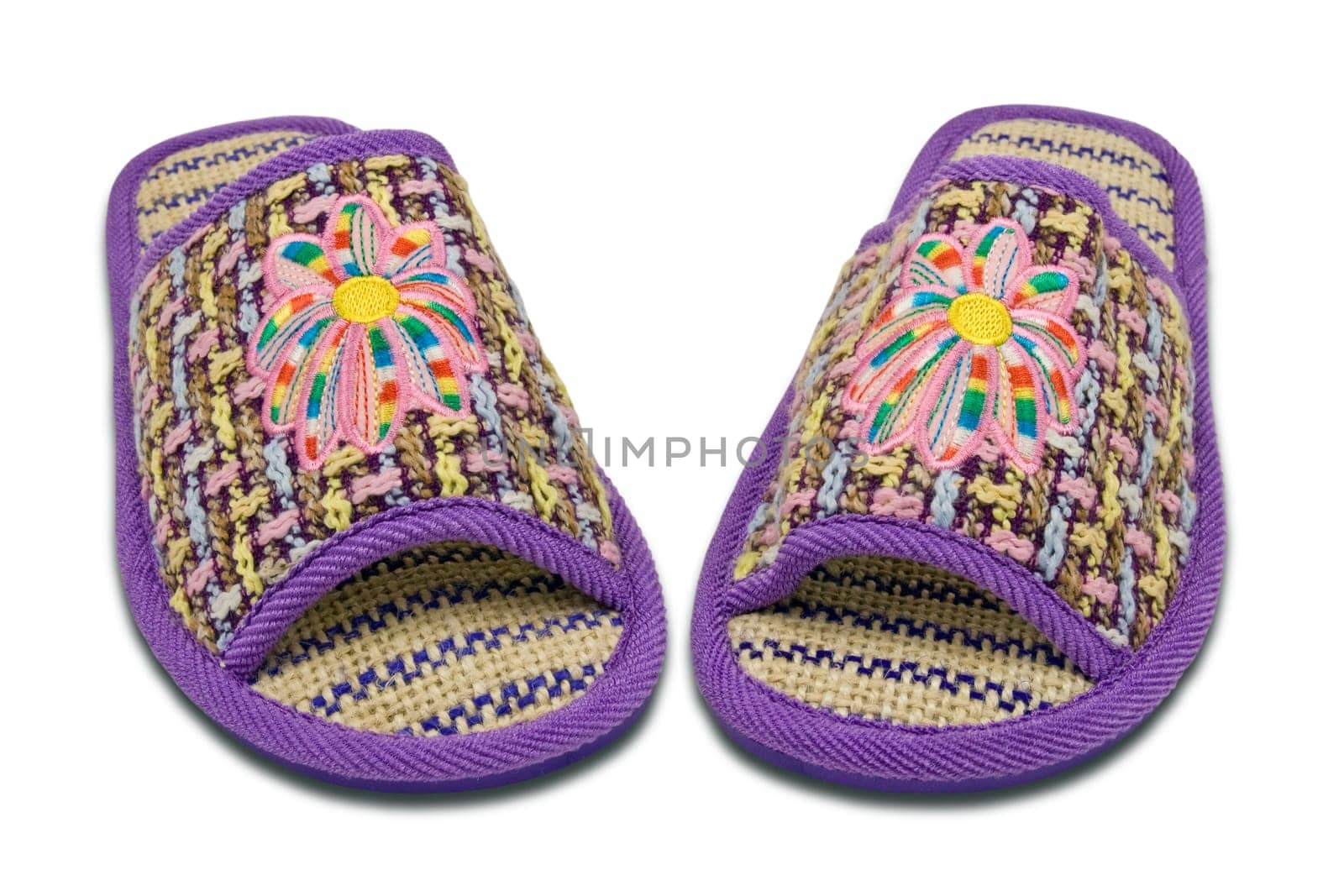 woman house slippers isolated on white background