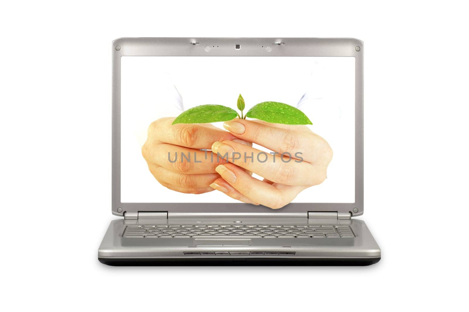 Hands reaches out of an laptop with a plant