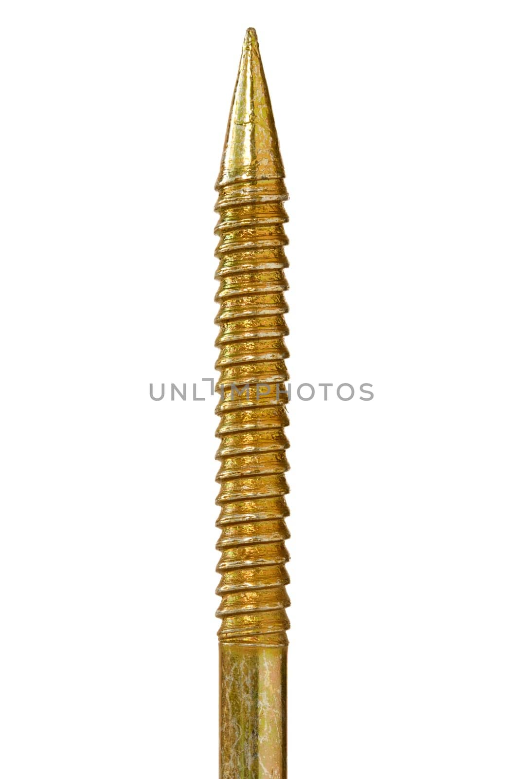 golden screw isolated over a white background