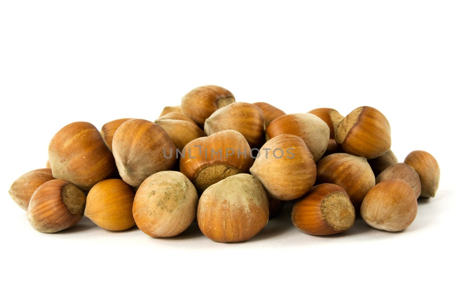 pile of hazelnuts on the white background