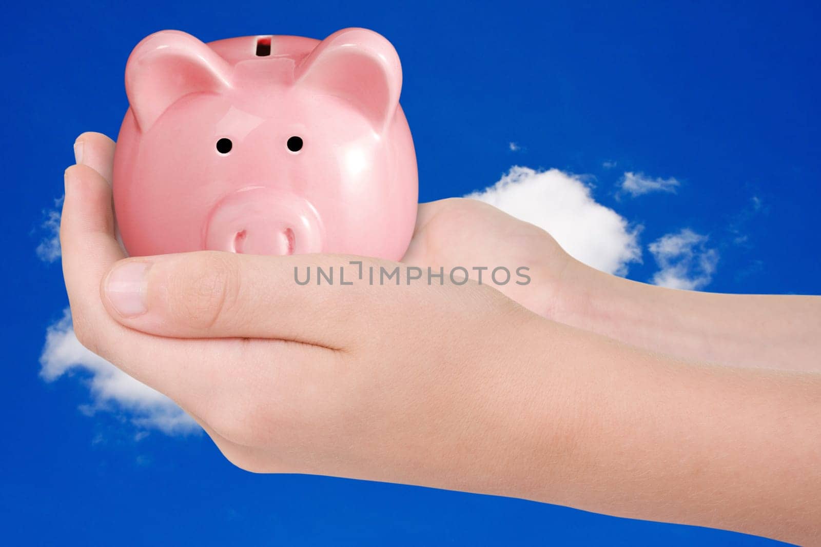 money saving concept. hands hold piggy bank.