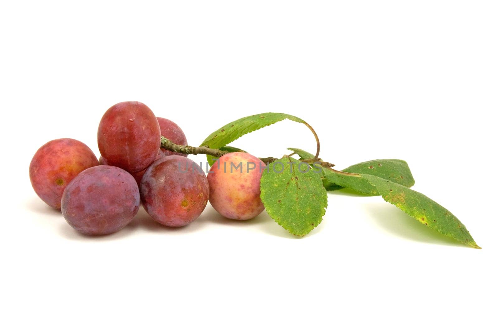 plums with leaves , isolated on white background