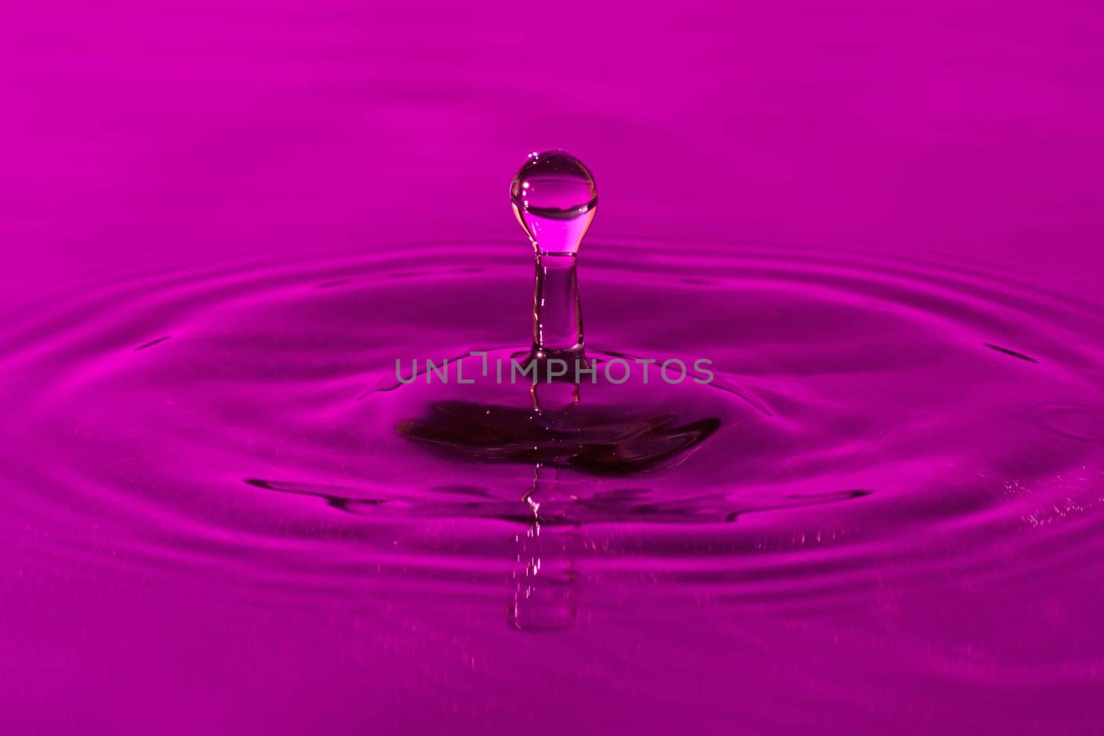 close-up of a droplet, falling in the purple water