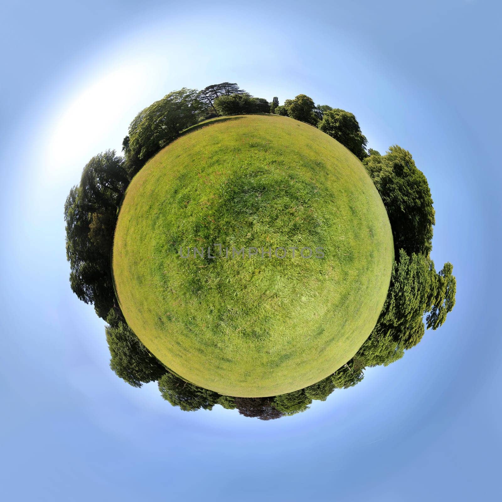 Miniature Earth – Meadow of the Karlsaue in Kassel
