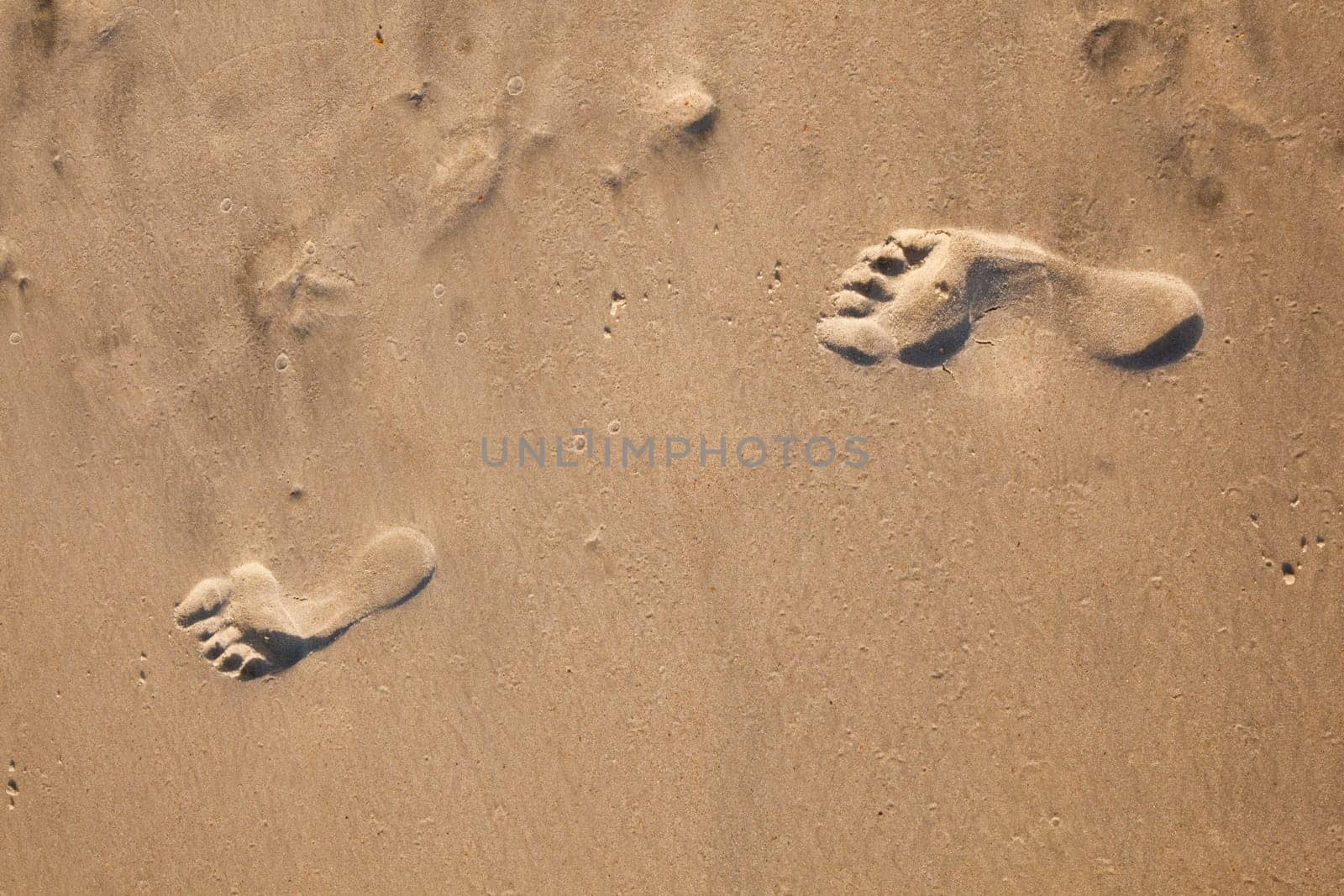 footprints at the beach in fine sand