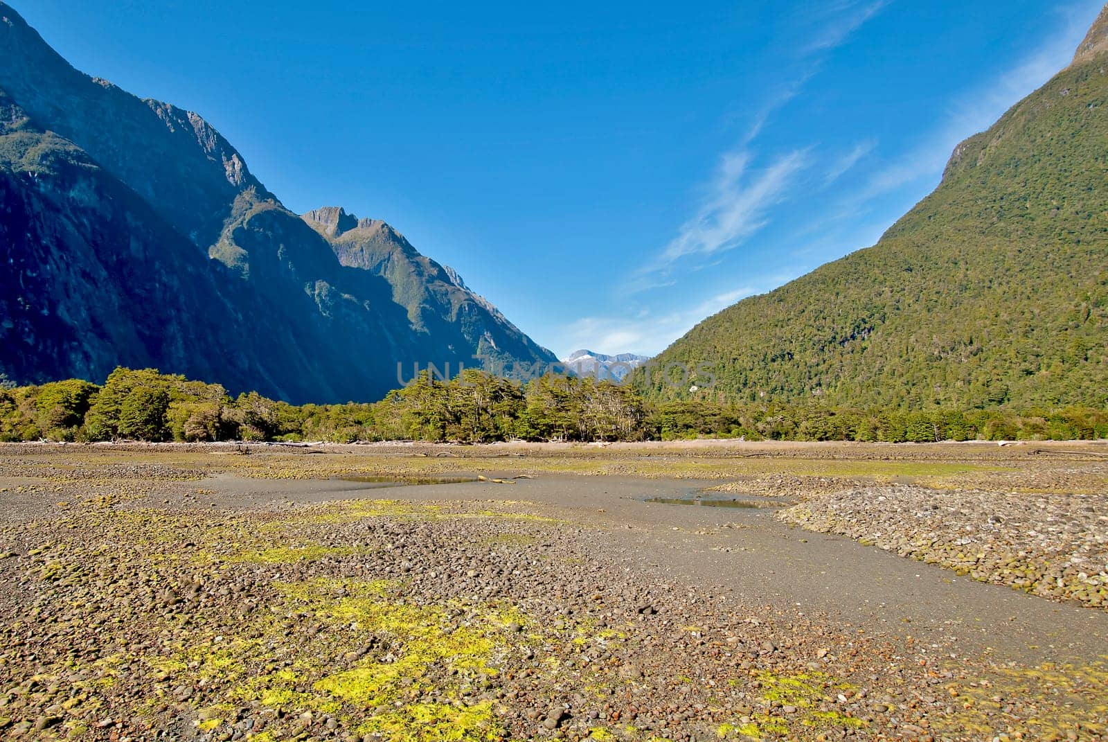 at Milford Sound,New Zealand