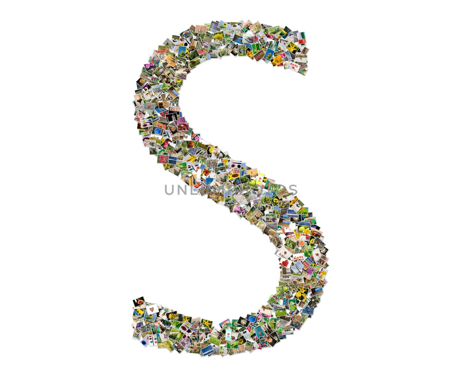 Letter s, photos collage isolated on a white background