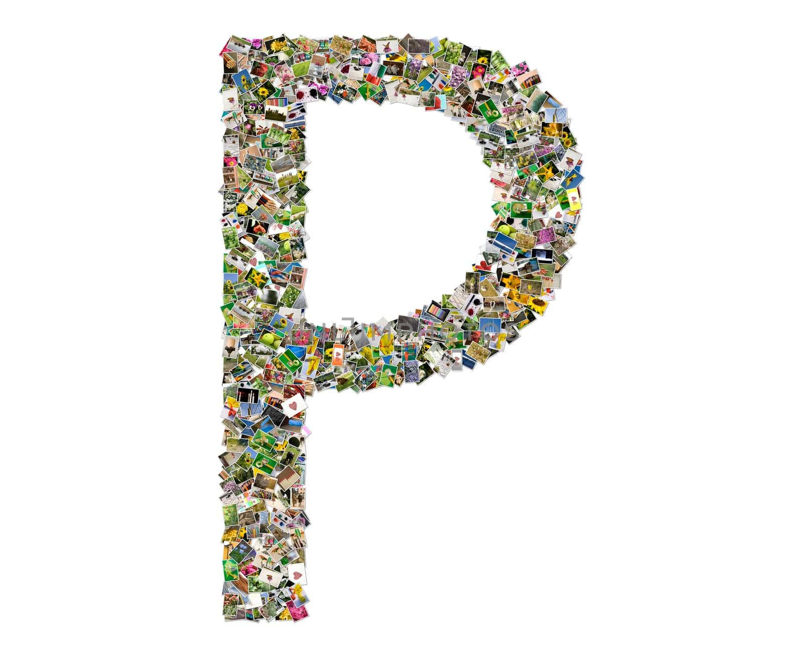 Letter p, photos collage isolated on a white background
