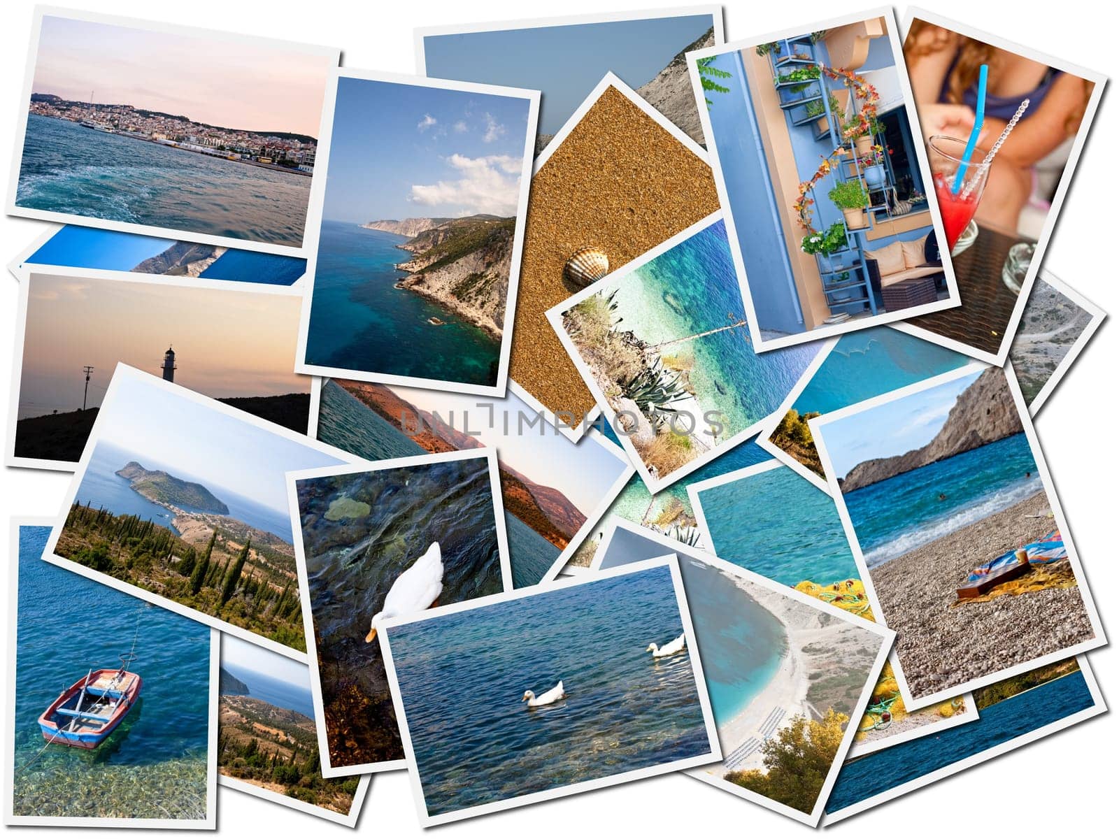 Background surface filled with sea life photos