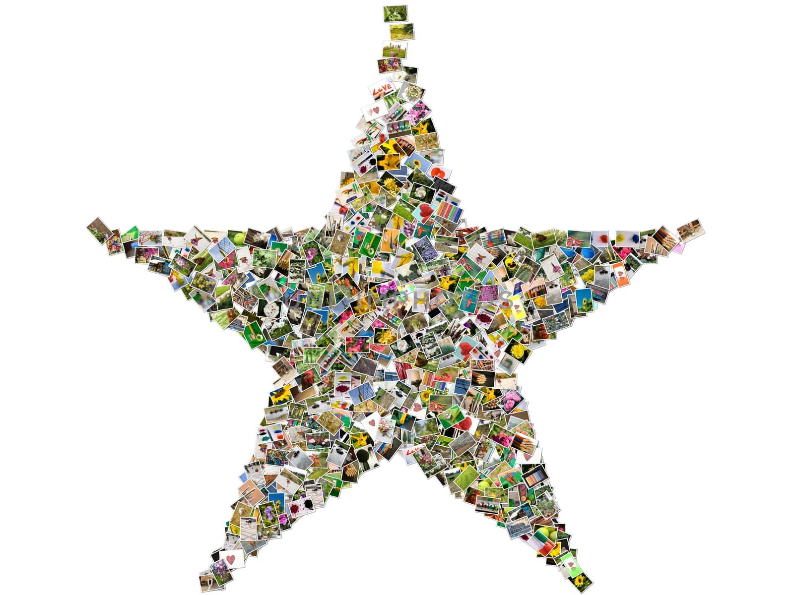 Star sign, photo collage isolated on a white background