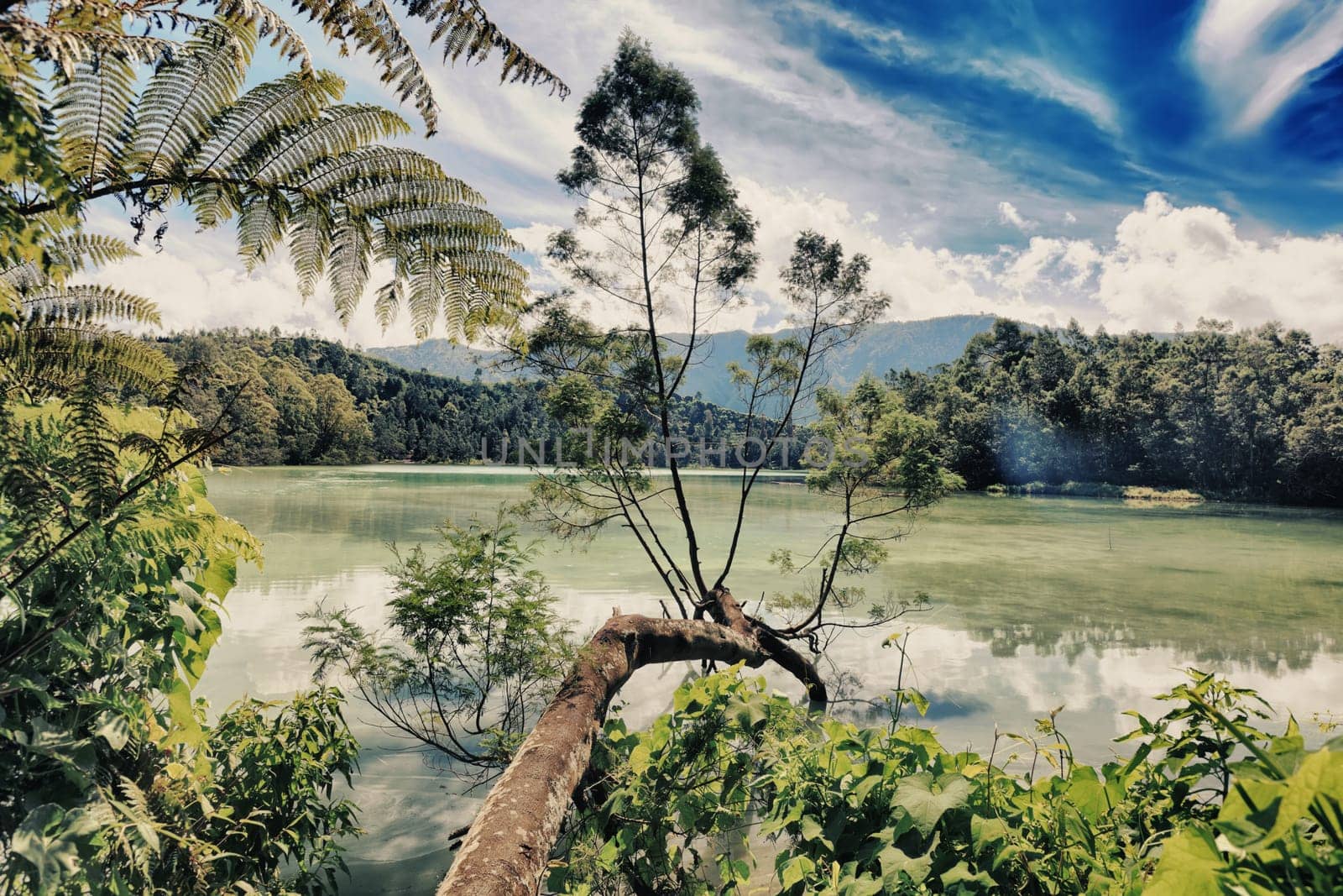 Volcanic lake Telaga Warna at plateau Dieng
