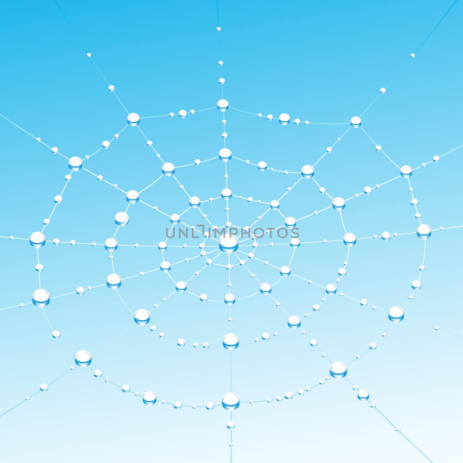 Fresh morning dewdrops on the spiderweb. Vector illustration on  blue background.