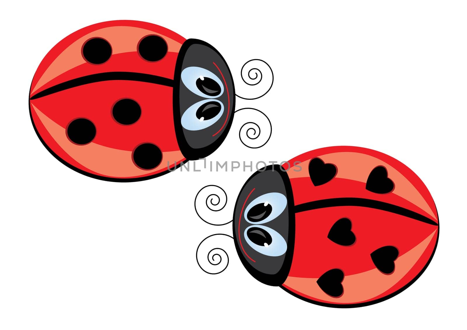 Two Ladybugs. Vector illustration on white background