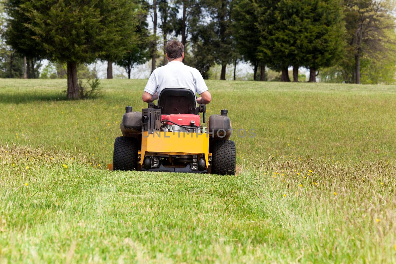 Senior retired male cutting the grass on expansive lawn using yellow zero-turn mower