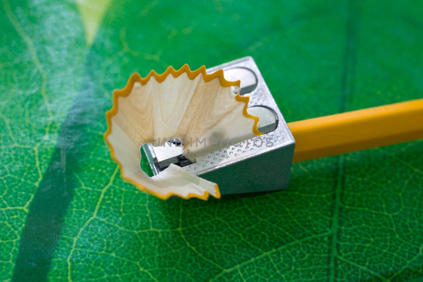 Pencil sharpneer and pencil on green texture