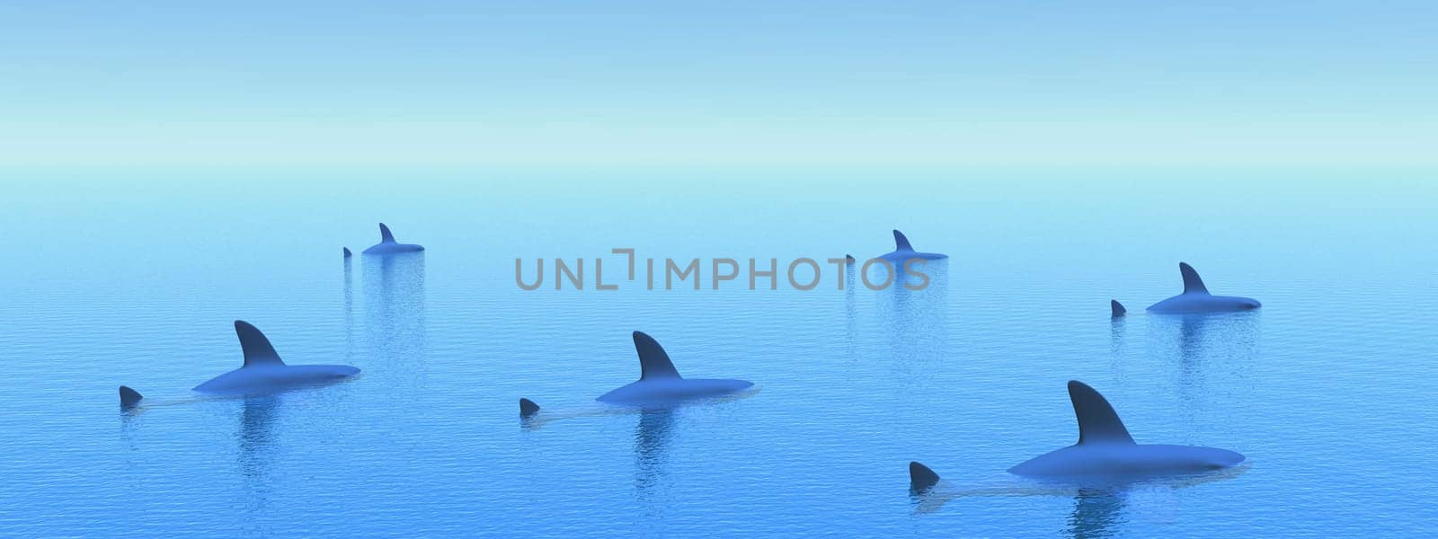 Several sharks in the ocean by morning light