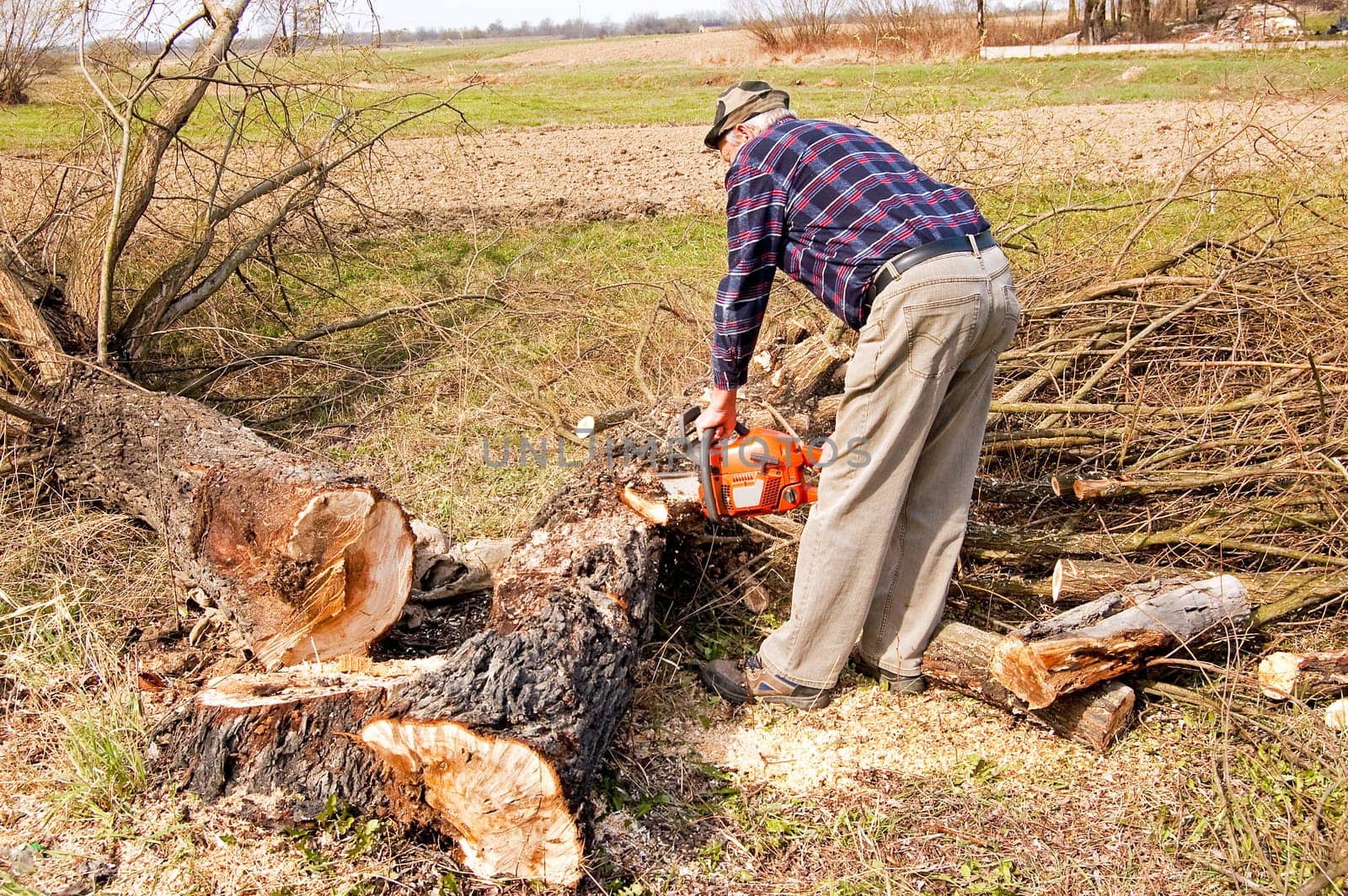 broken tree cutting near the ground