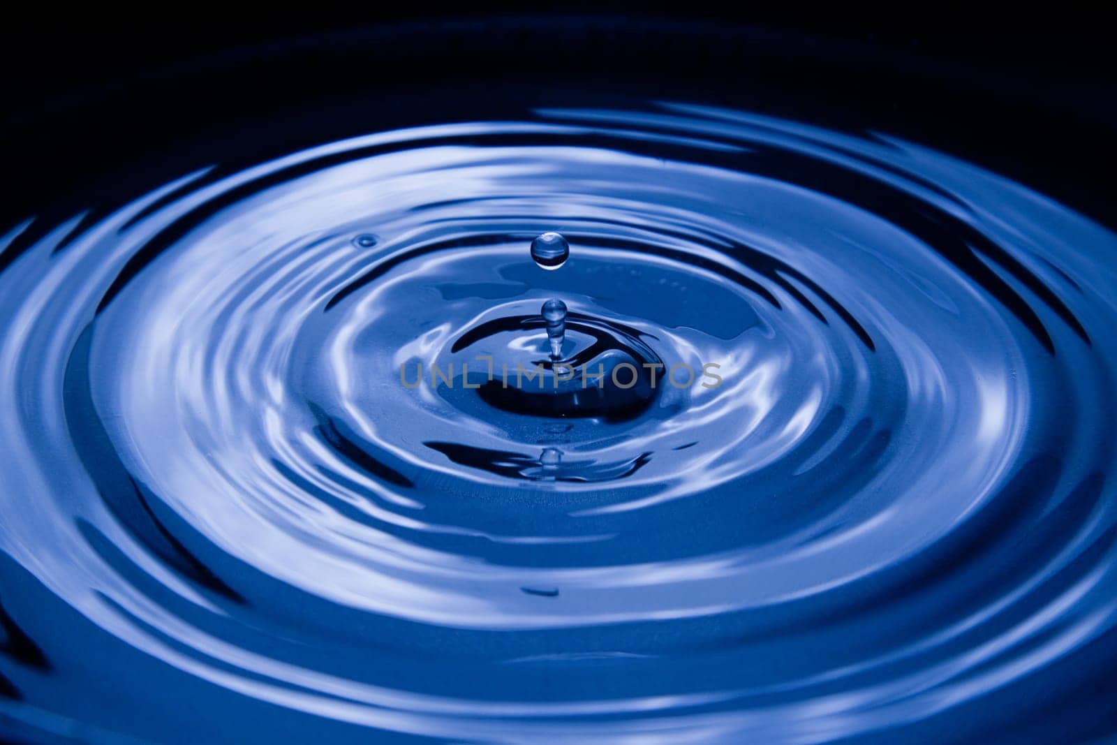 Water drop making a ripple on the surface