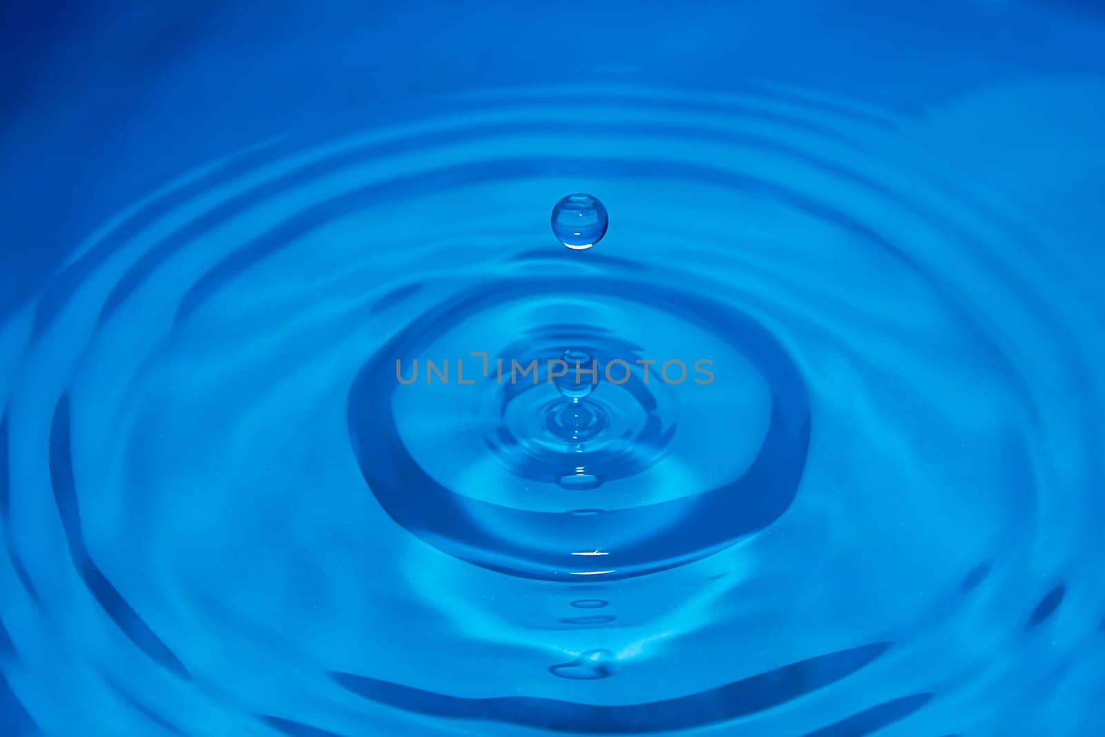 Water drop making a ripple on the surface