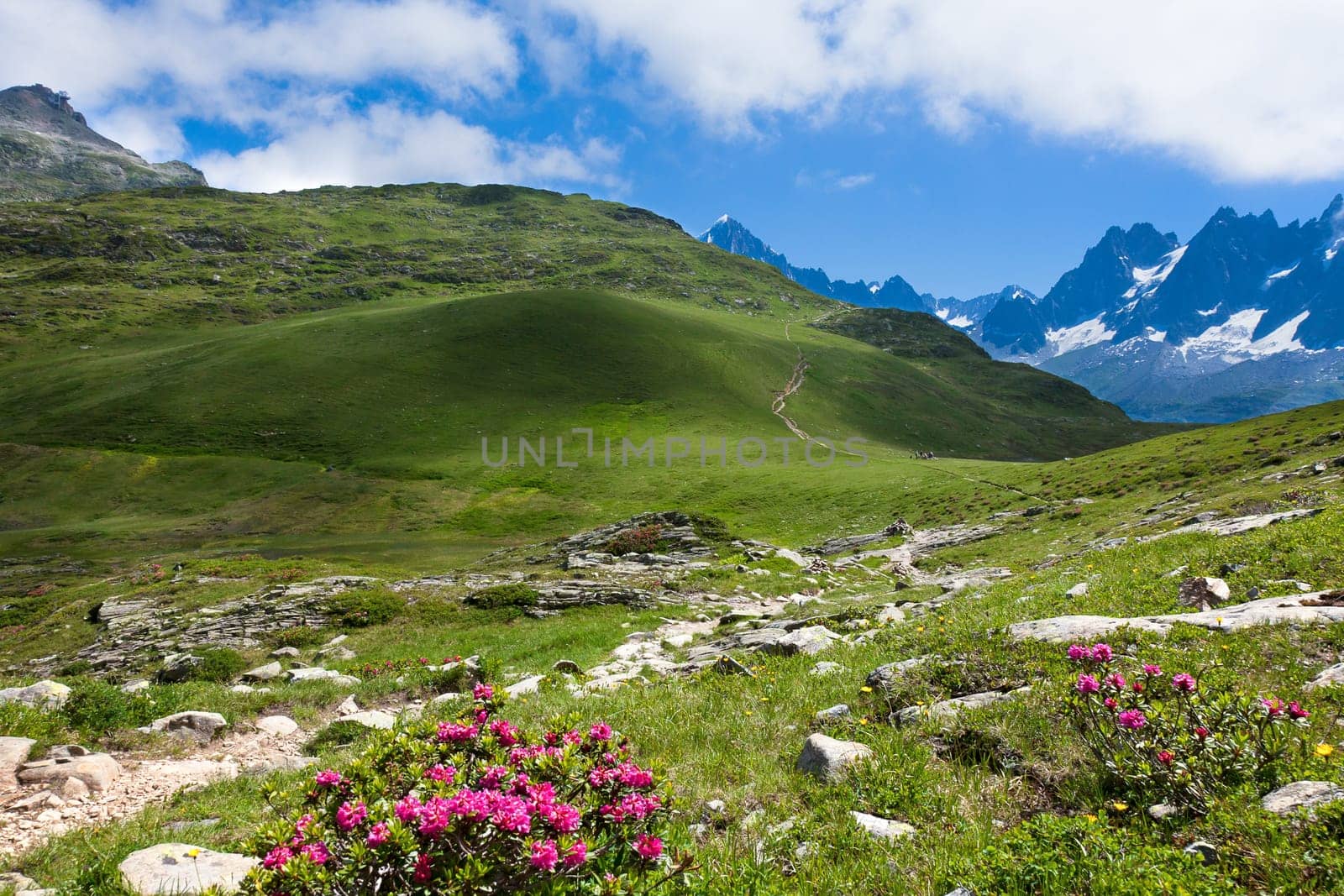 A beautiful view of the french alps