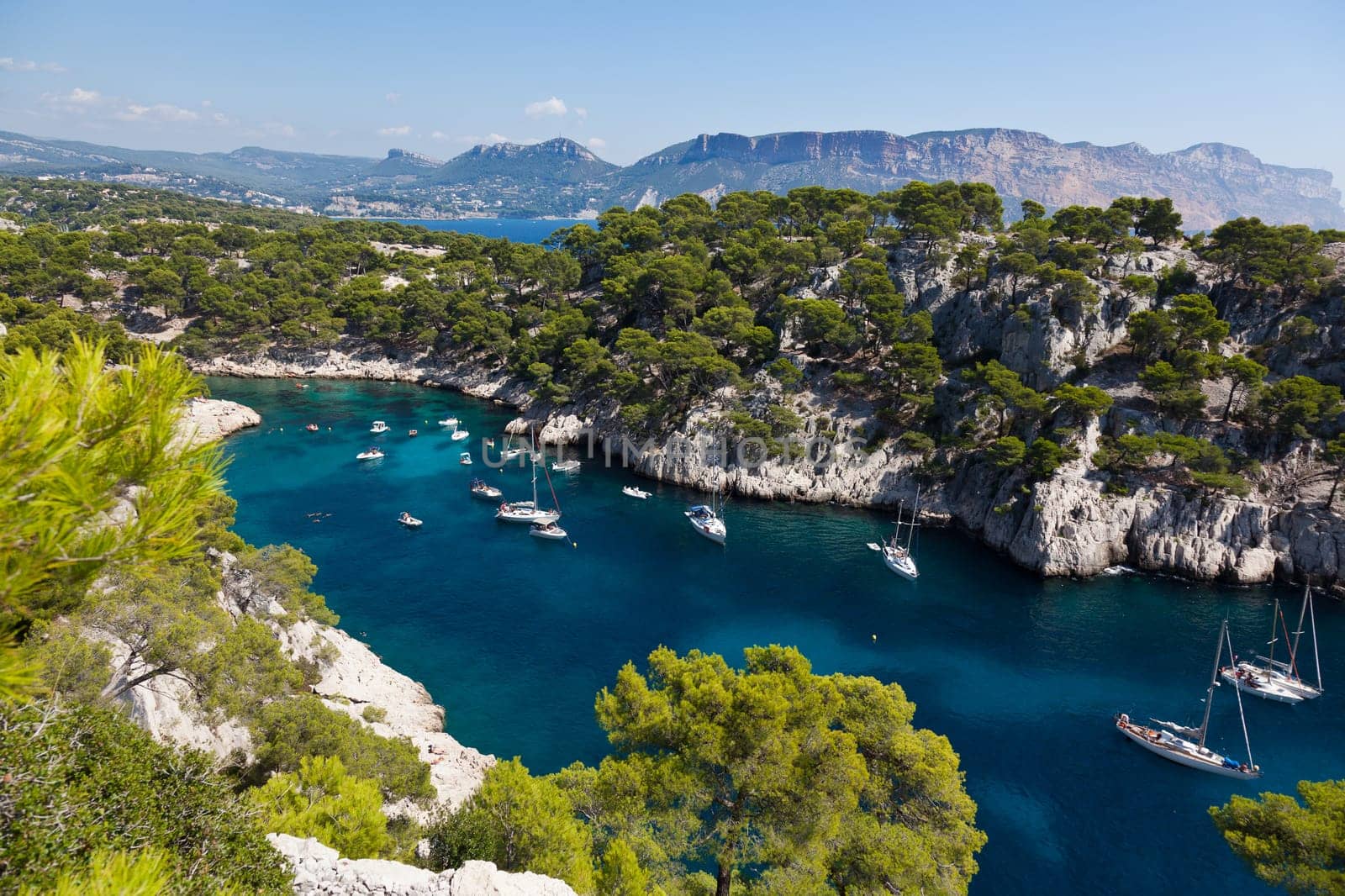 Calanques of Port Pin in Cassis  in France