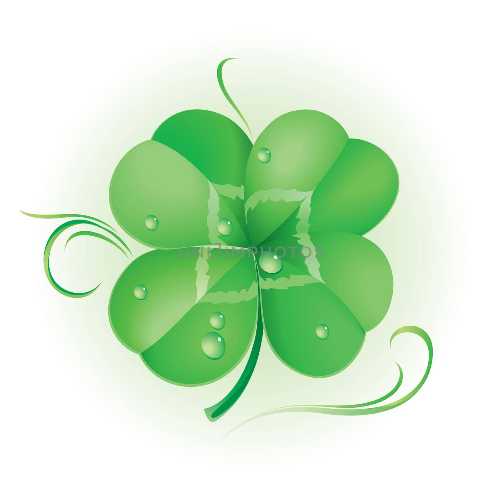 Irish shamrock for St Patrick&#039 s Day