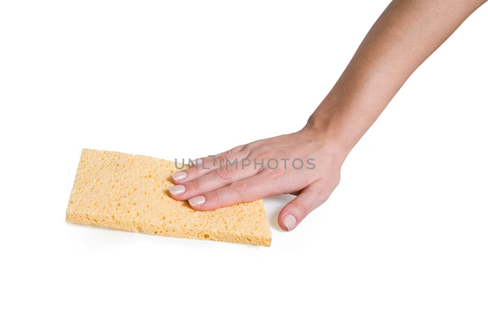 Female hand with a yellow sponge rag.