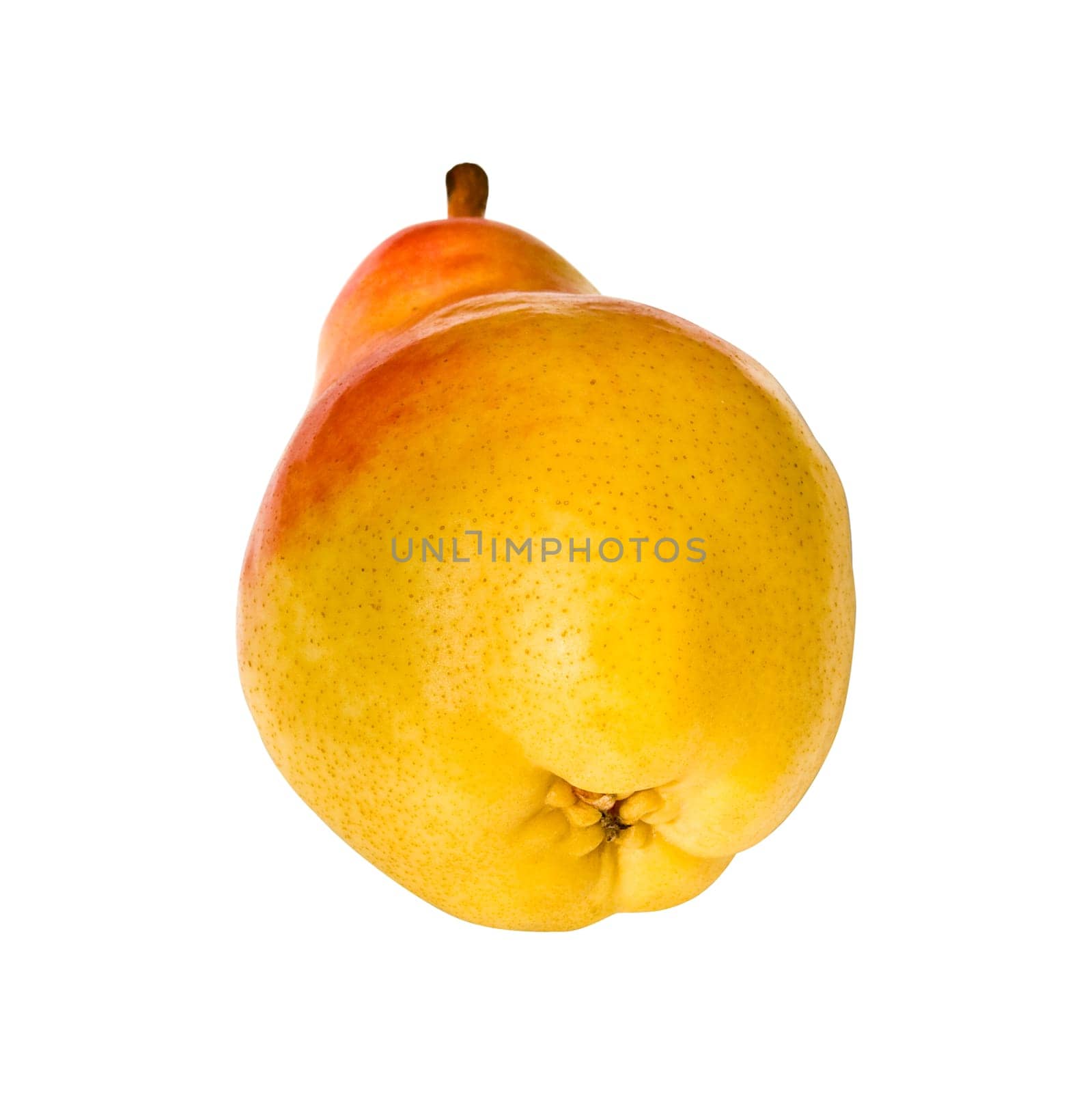Pear isolated on a white background.