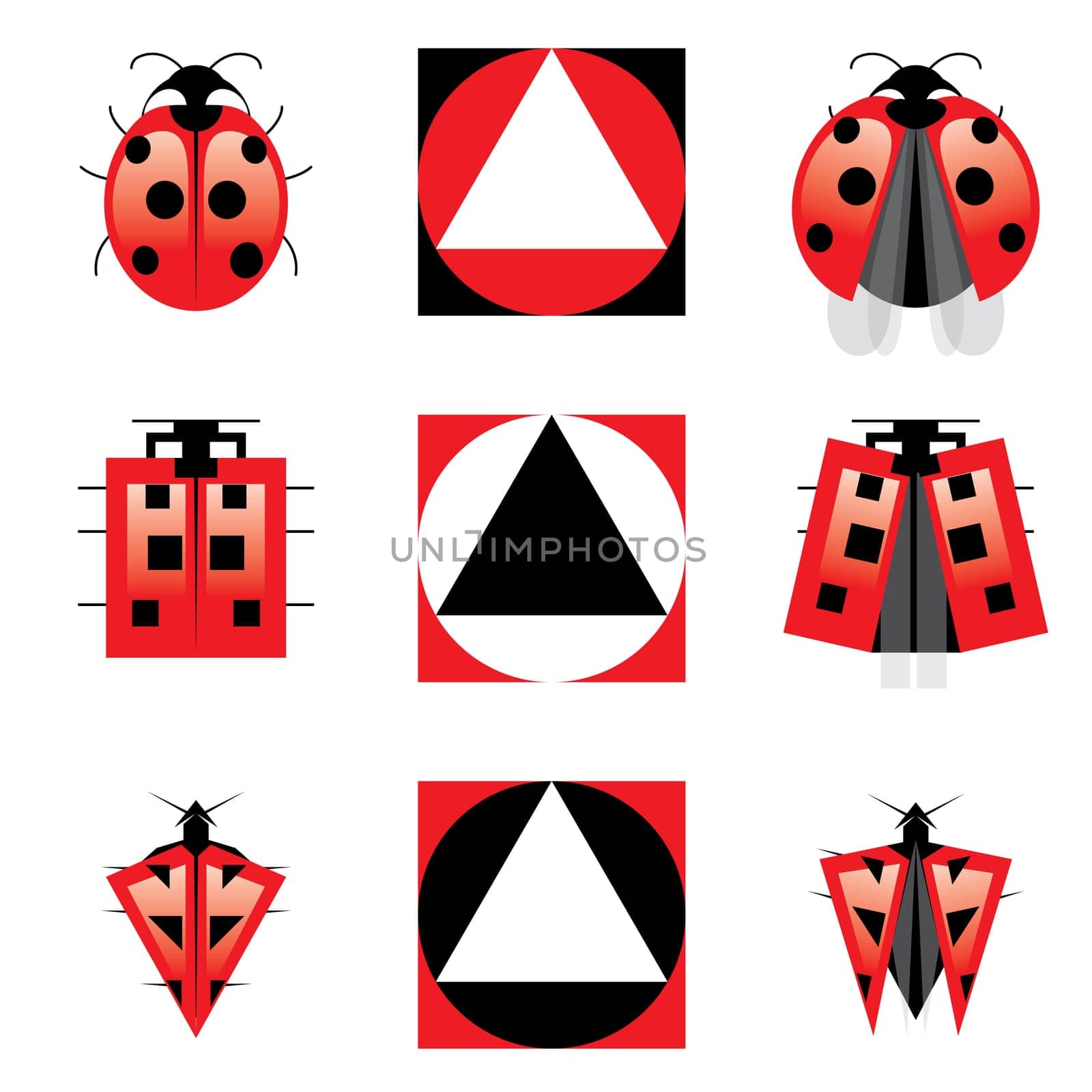 Conceptual Evolution of Ladybug. Illustration.