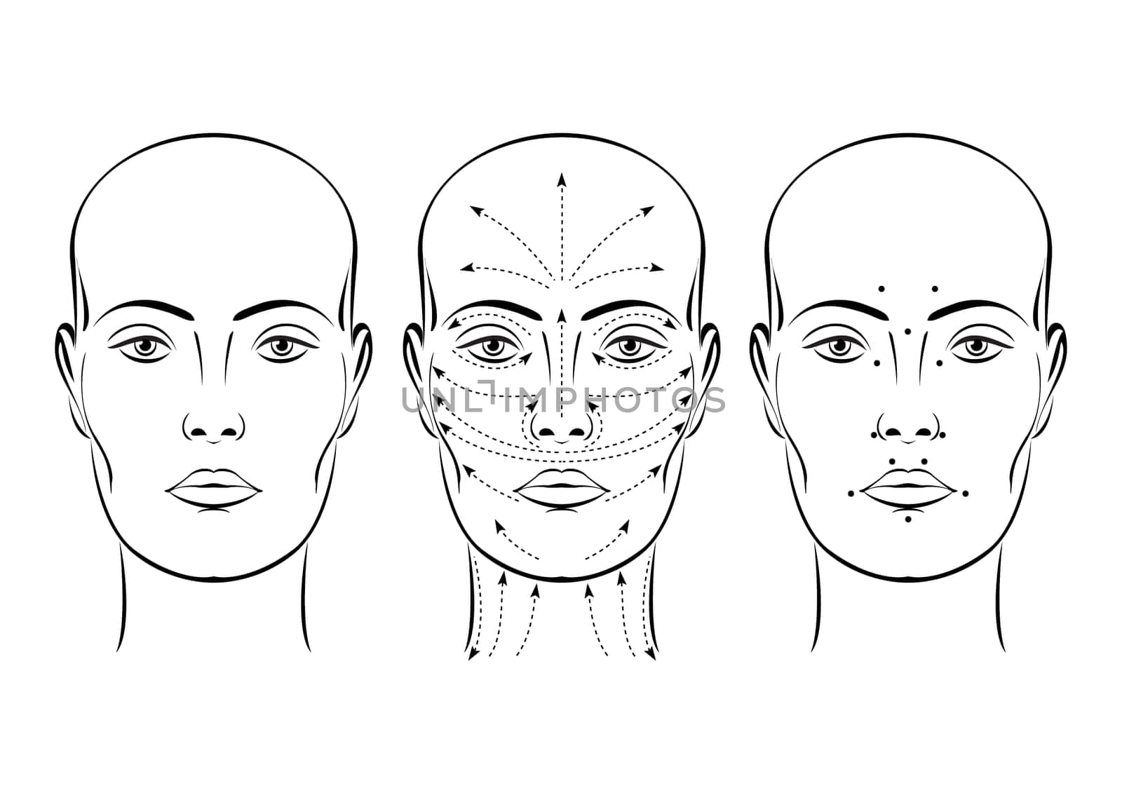 Face. Illustration on white background for design