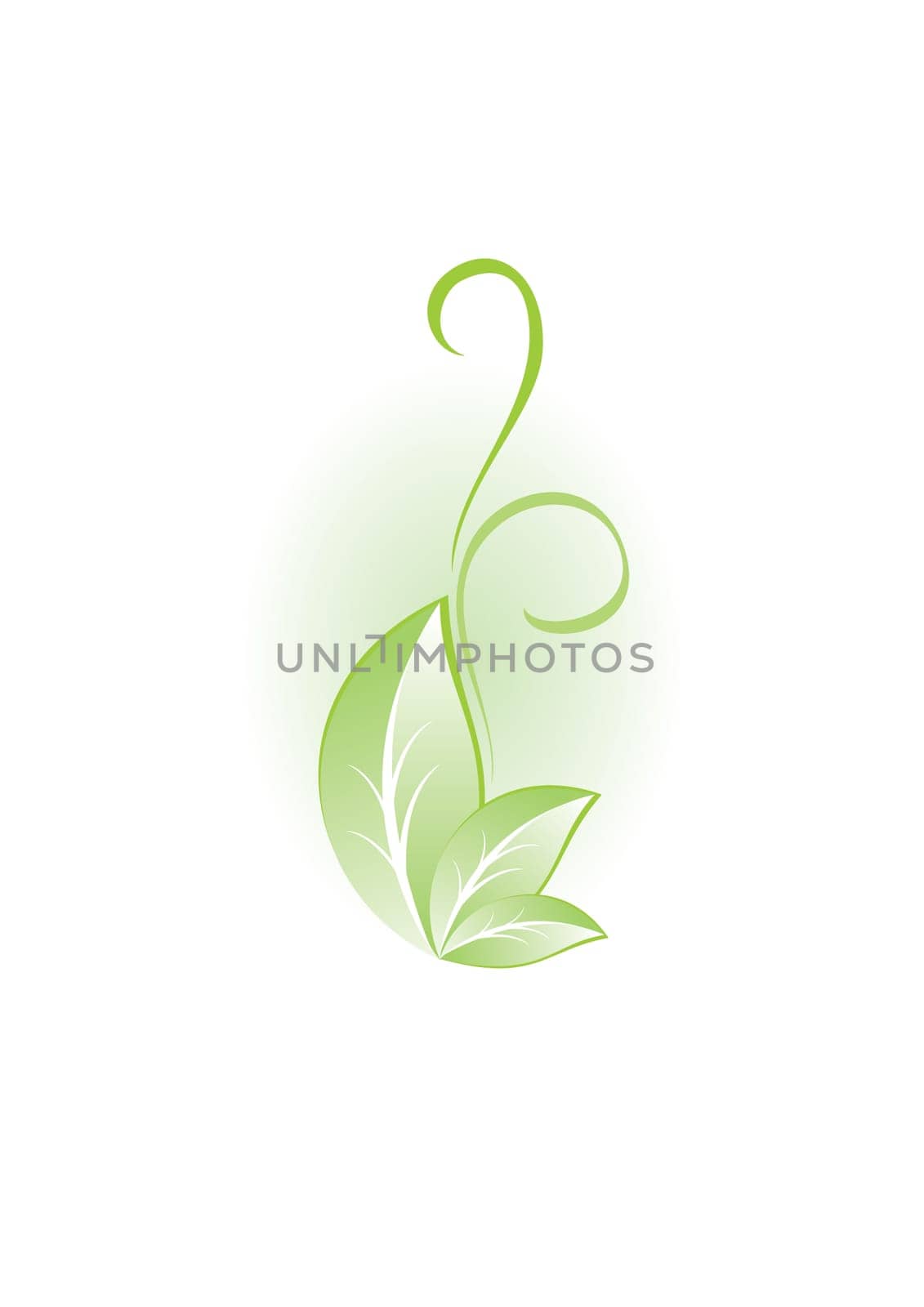 Green plant. Illustration for design.